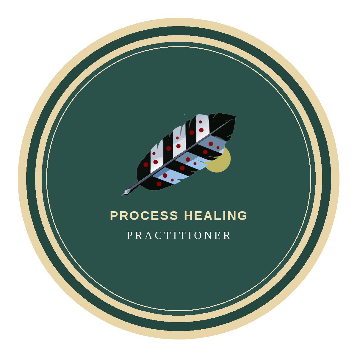 Process Healing Method practitioner